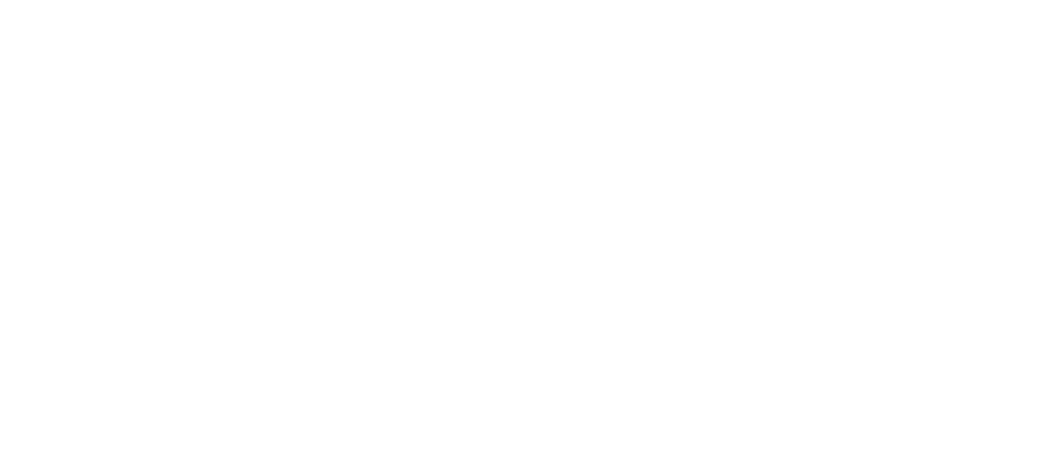 Jan Pešek  svatební fotograf 
