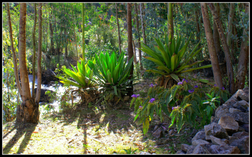 Kytky na treku Santa Cruz