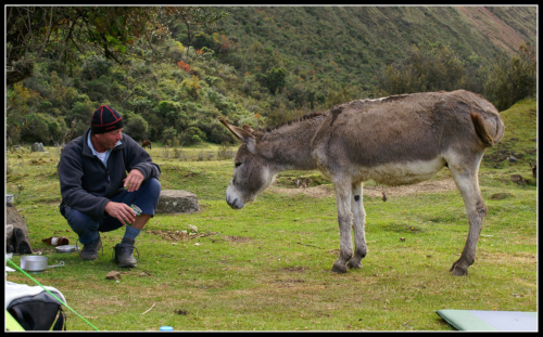 mra-m-novho-kmoe-trek-santa-cruz 13721355585 o