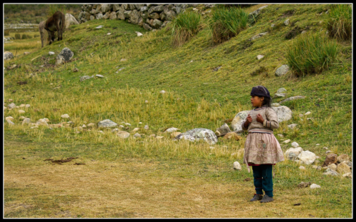 mstn-slena 13663395365 o