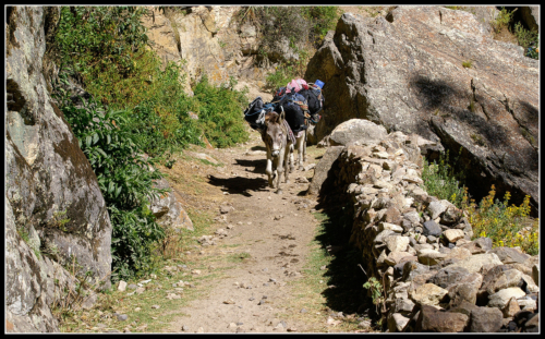 nai-kmoi-a-nae-bgly 13663422933 o